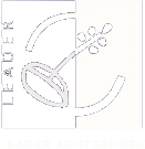 Leader Achterhoek